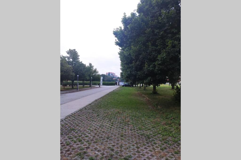 Studio Apartment "Iris" Ptuj Luaran gambar